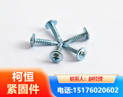 株洲华司钻尾丝